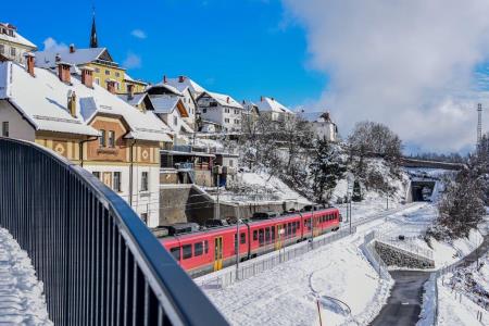 3. nagrada: Janez Resman, »Most in sneg sta nova, vlak ne«